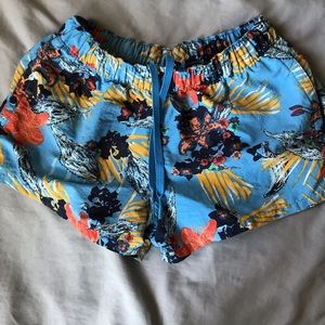 Patagonia Barely Baggies 2 1/2 inch Shorts